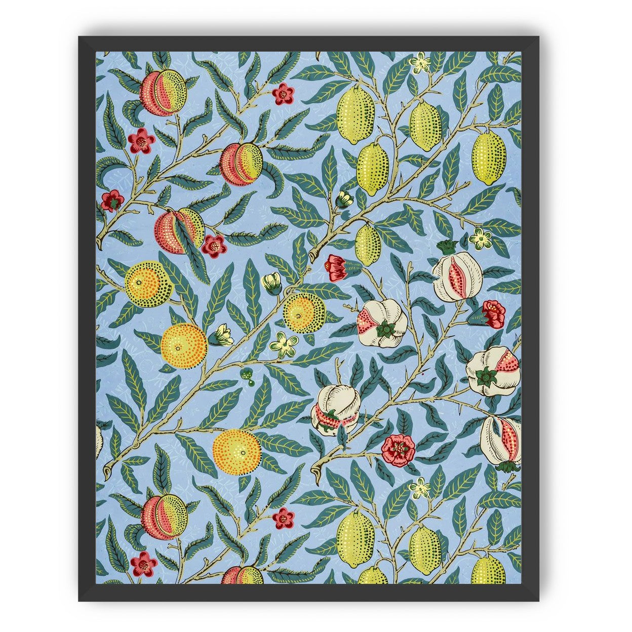 Fruits on the Vine