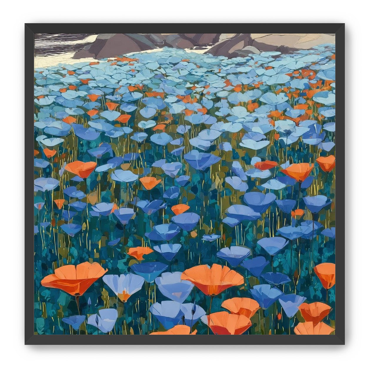 California Poppies