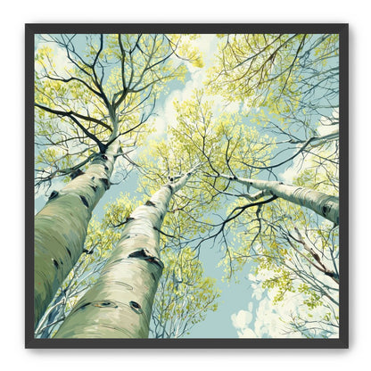 Branches Holding Light