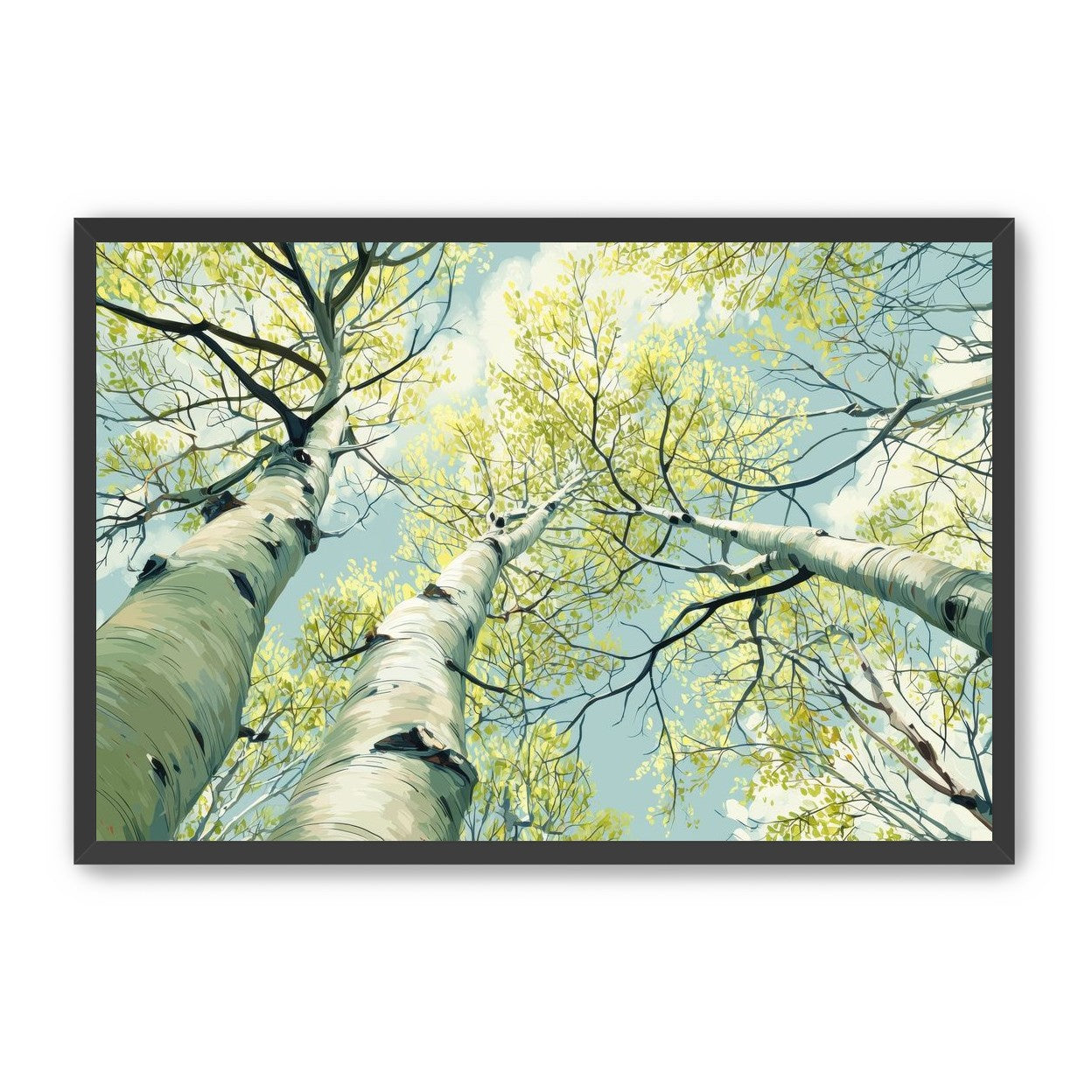 Branches Holding Light