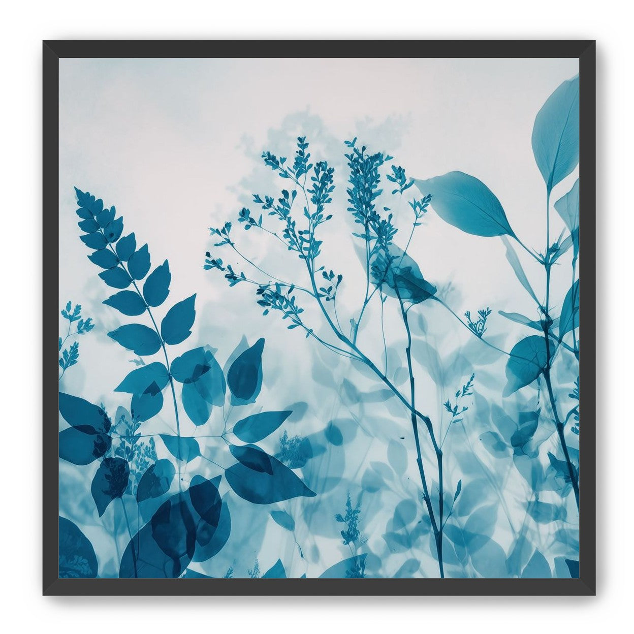 Moment Fixed in Transparency