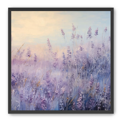 Lavender Fields