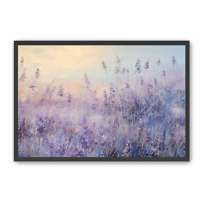 Lavender Fields