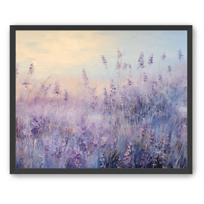 Lavender Fields