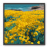 Yellow Coastal Wildflowers