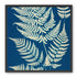 Ferns crossing blue field