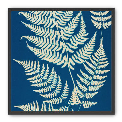 Ferns crossing blue field