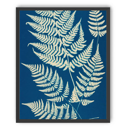 Ferns crossing blue field