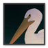 White pelican in stillness