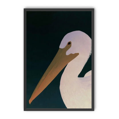 White pelican in stillness
