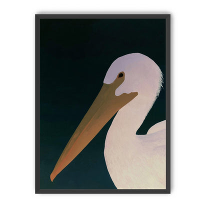 White pelican in stillness