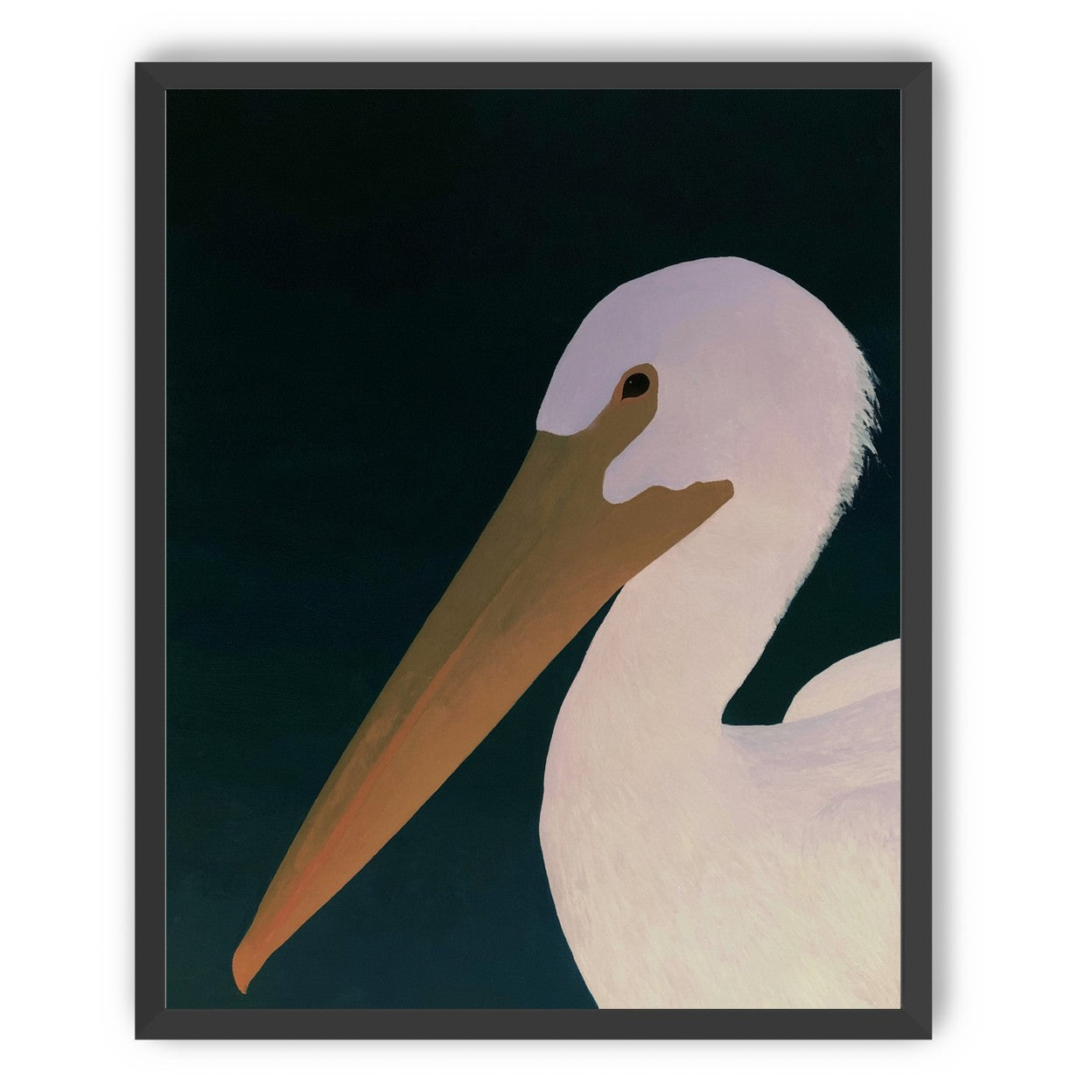 White pelican in stillness
