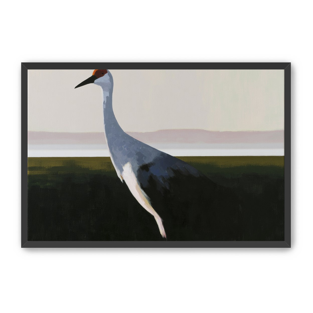Crane with a red crown
