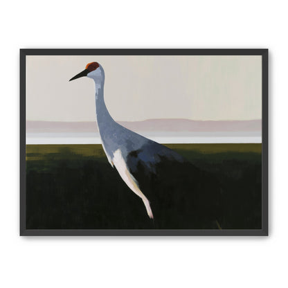 Crane with a red crown