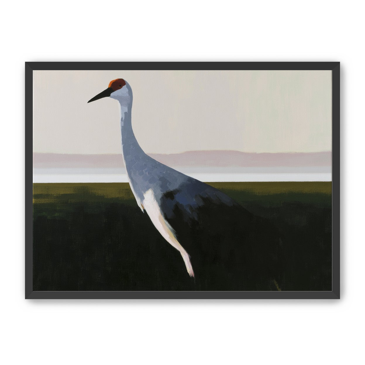 Crane with a red crown