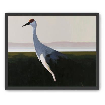 Crane with a red crown