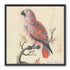 Parrot among bare branches