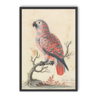 Parrot among bare branches