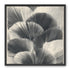 Ginkgo leaves in shadow