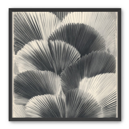 Ginkgo leaves in shadow