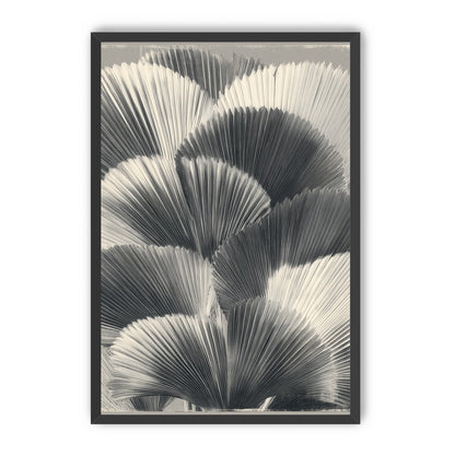 Ginkgo leaves in shadow