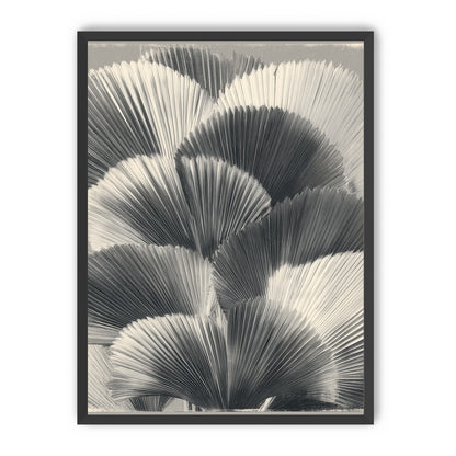 Ginkgo leaves in shadow
