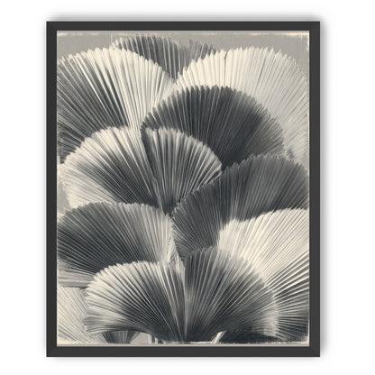 Ginkgo leaves in shadow