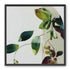 Green leaves crossing pale field