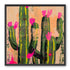 Pink blooms on cacti