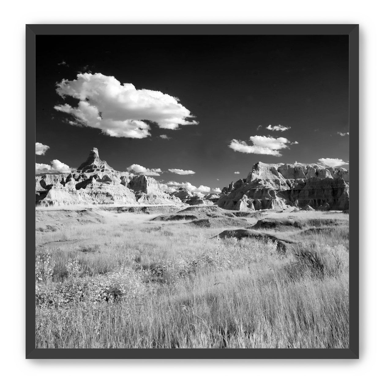 Badlands in Monochrome