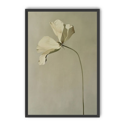 Cream petals in gray green air