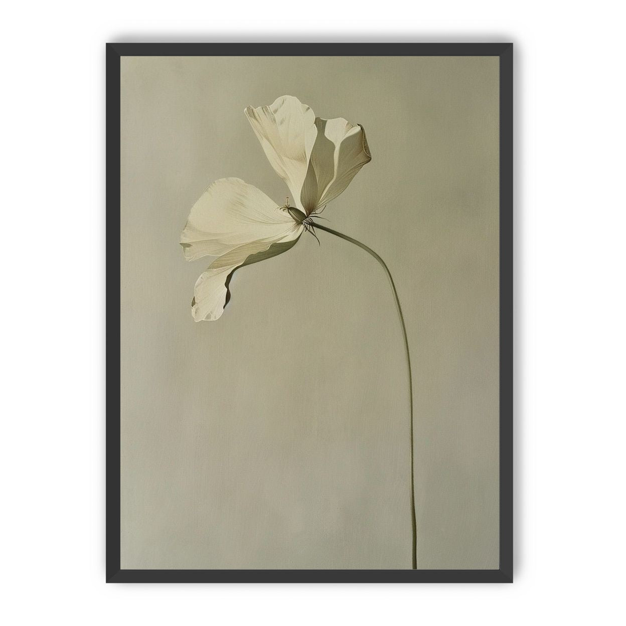Cream petals in gray green air