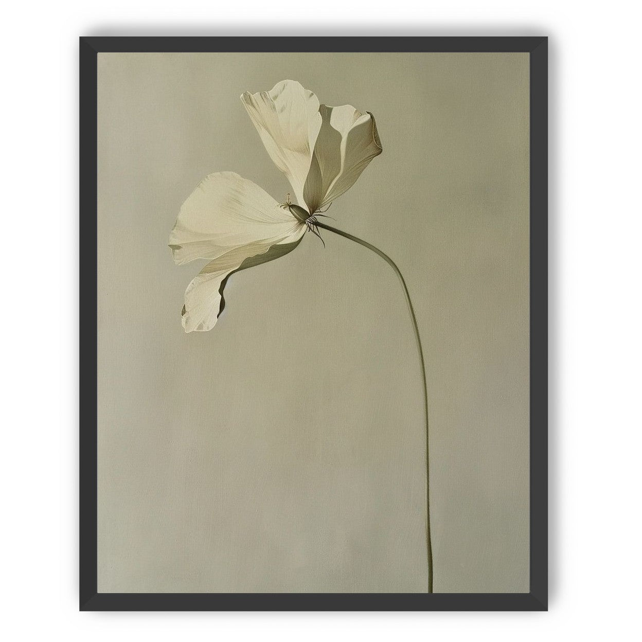 Cream petals in gray green air
