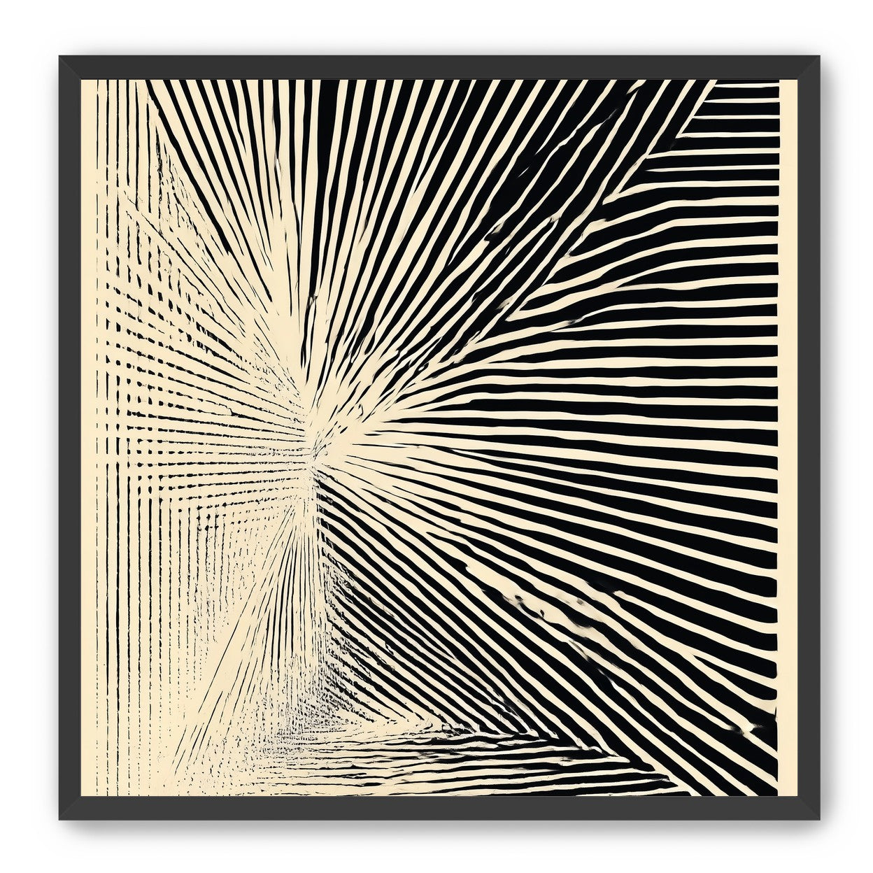 Convergence within black stripes