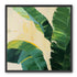 Green leaves in soft cream light