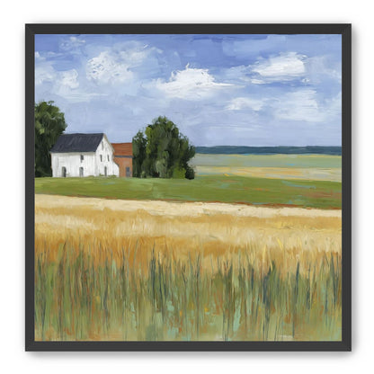 Grain Field Under Sun