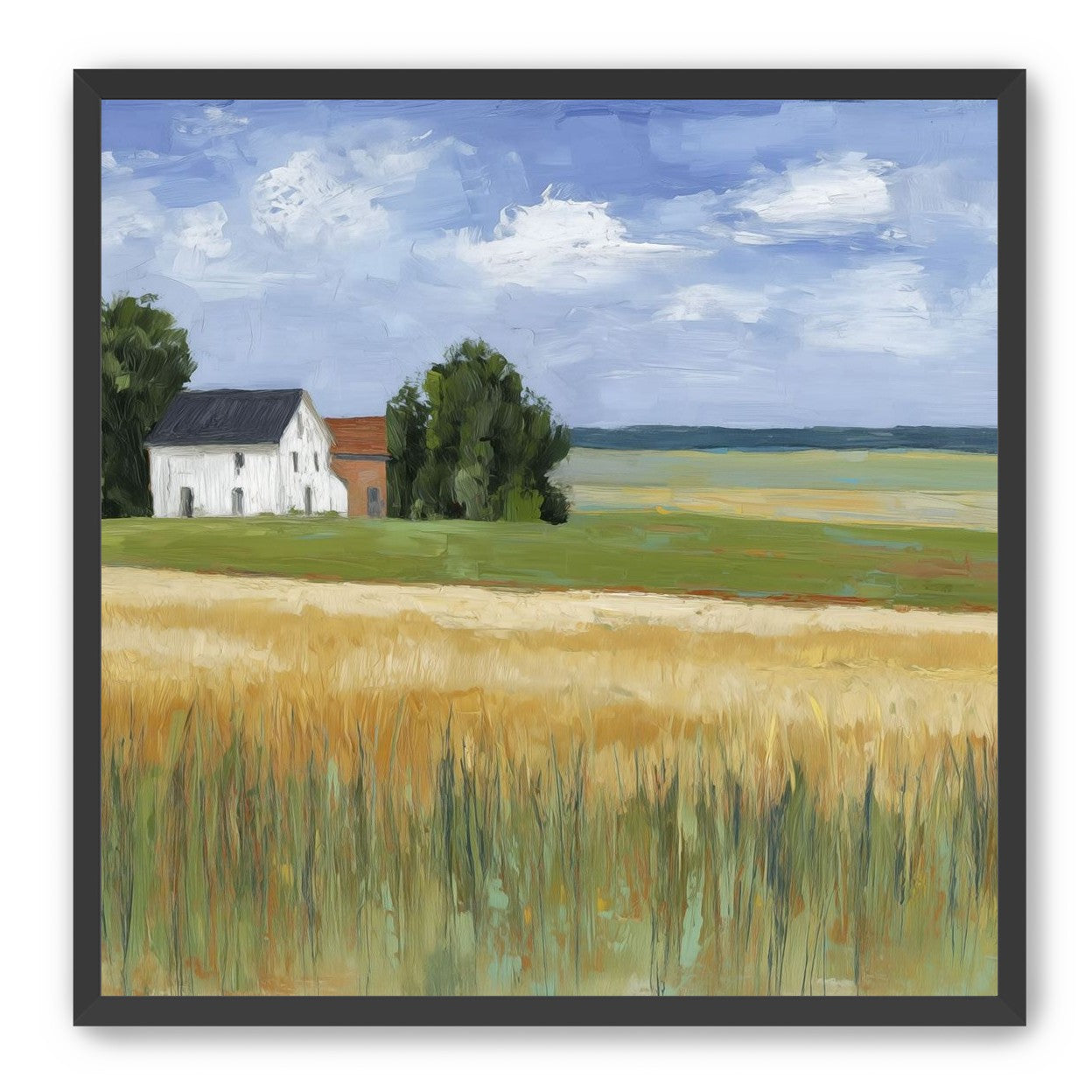 Grain Field Under Sun