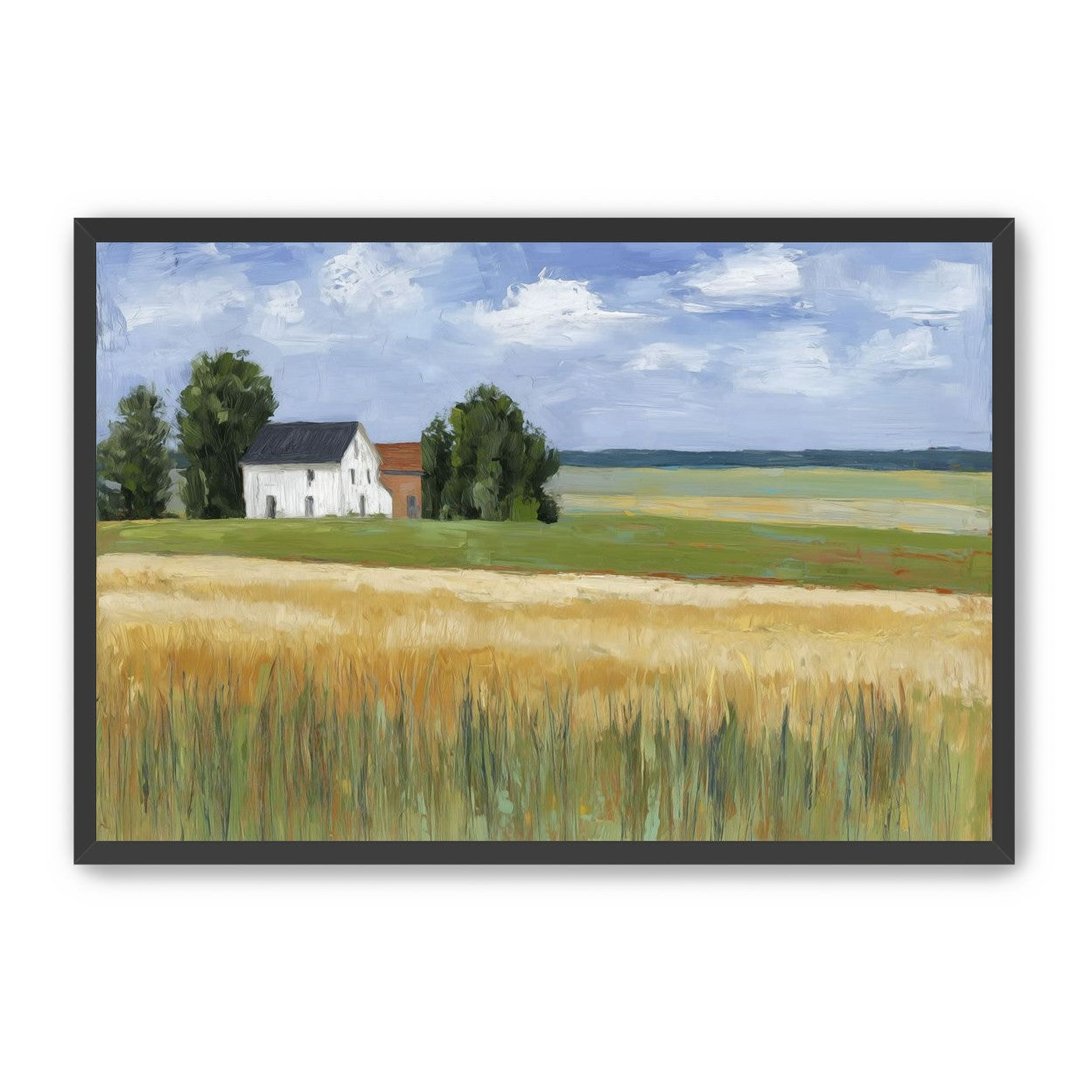 Grain Field Under Sun