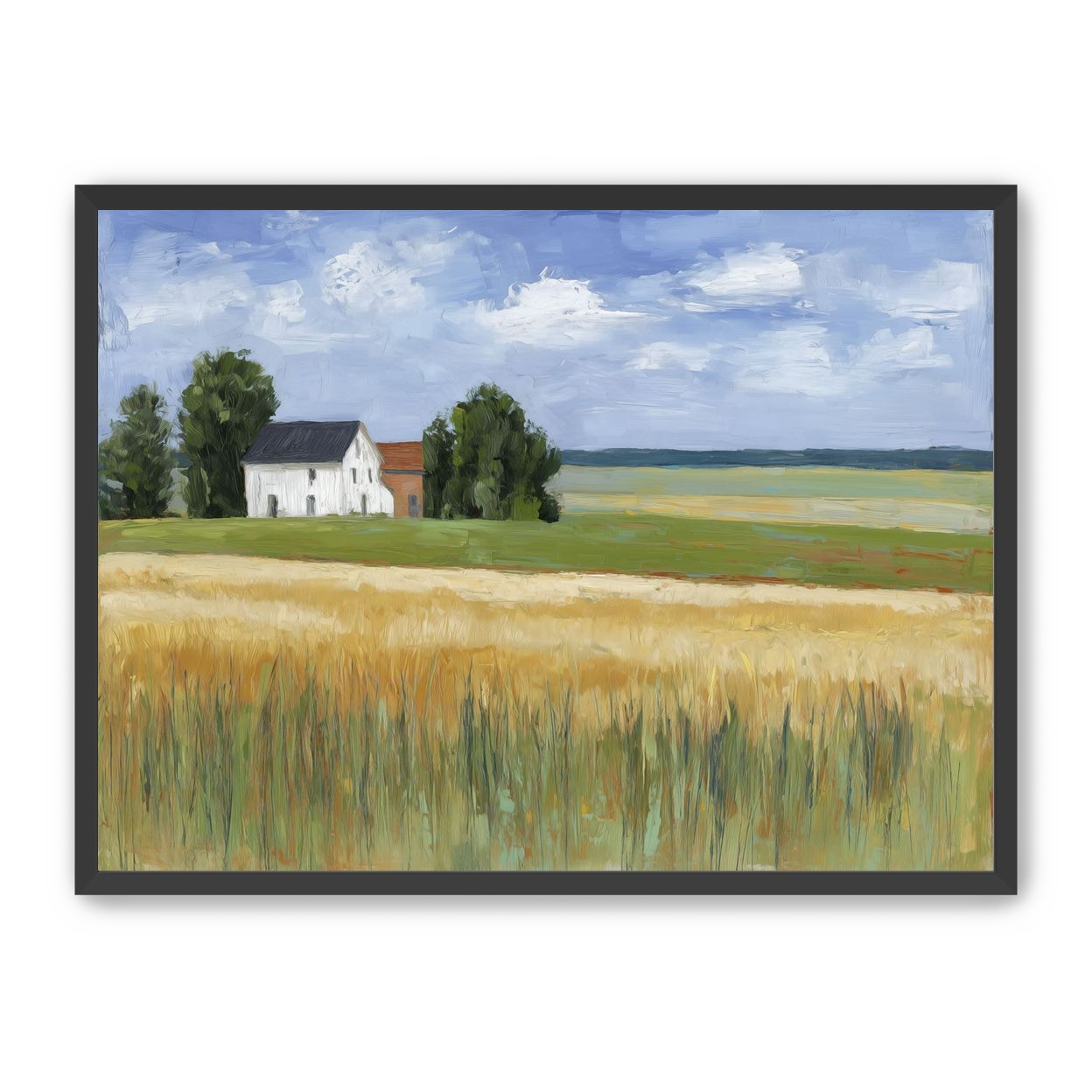 Grain Field Under Sun