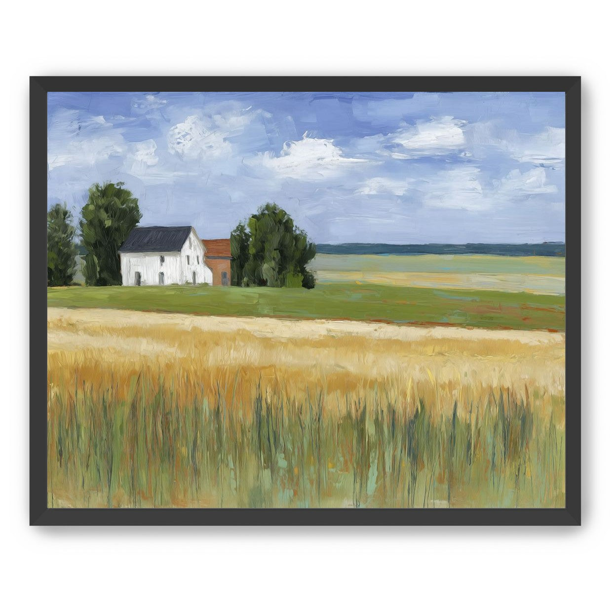Grain Field Under Sun