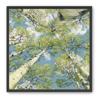 Aspen Canopy I