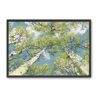 Aspen Canopy I