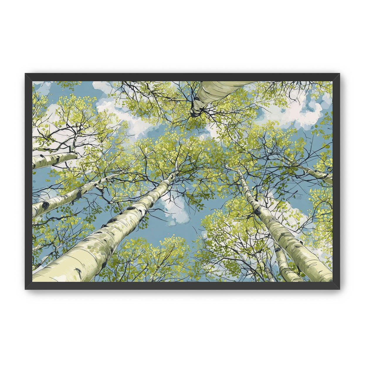 Aspen Canopy I