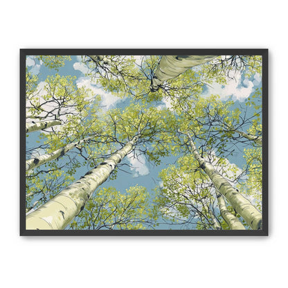 Aspen Canopy I