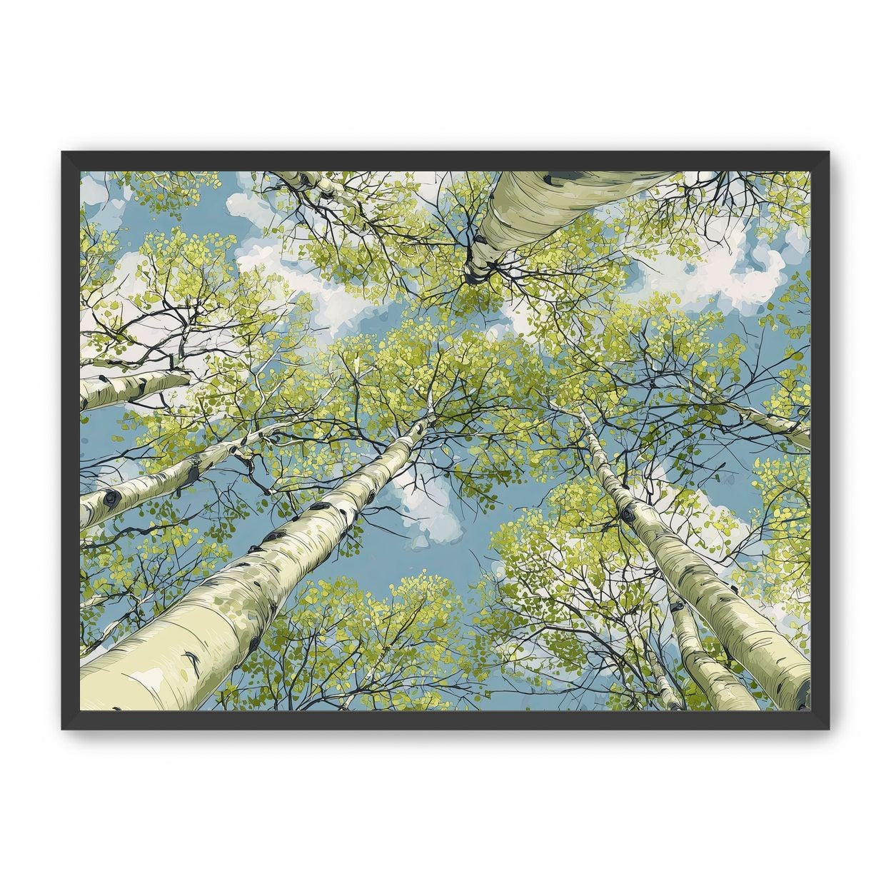 Aspen Canopy I
