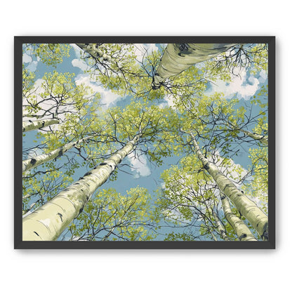 Aspen Canopy I