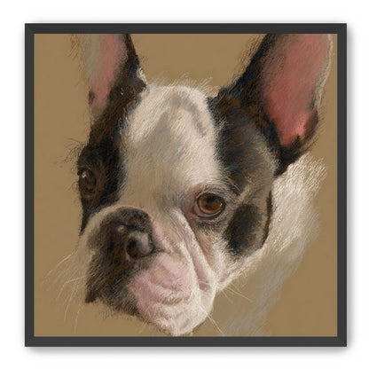 Close portrait with upright ears
