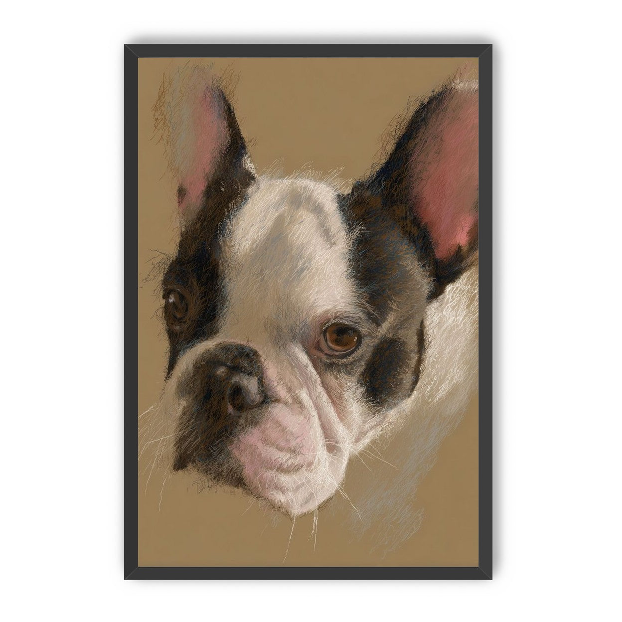 Close portrait with upright ears
