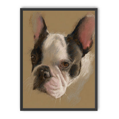 Close portrait with upright ears