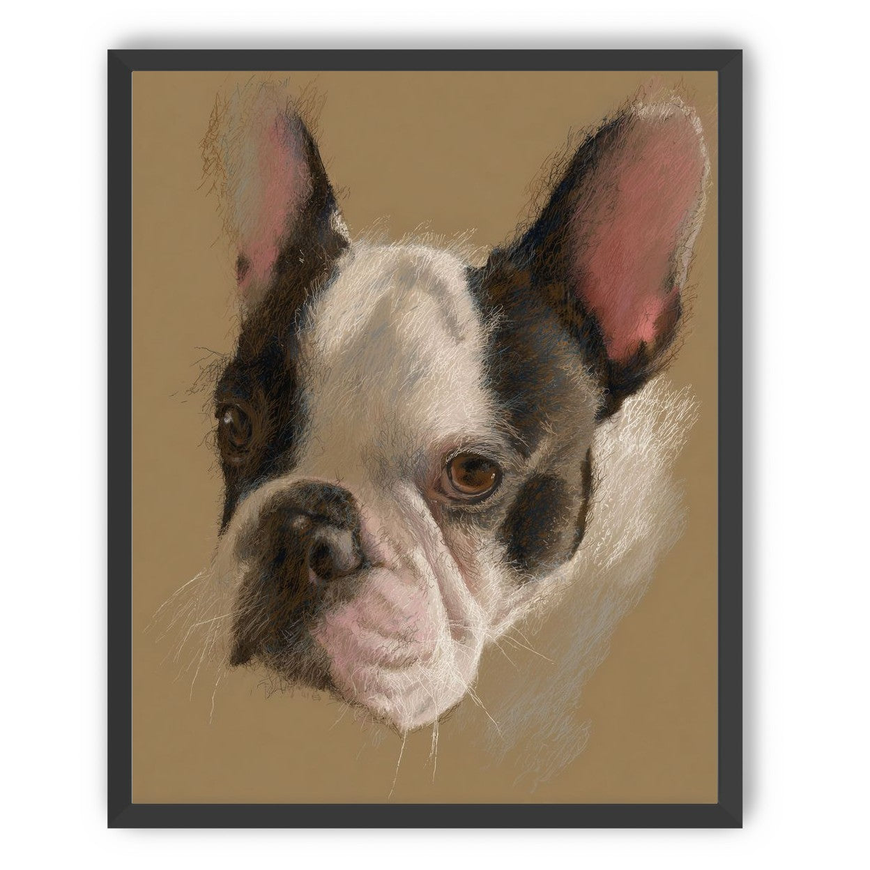 Close portrait with upright ears